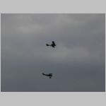 Flugtag _Lehrte_2010_219.jpg